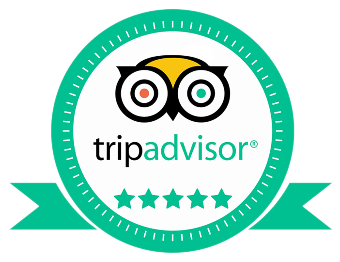 trip_advisor2